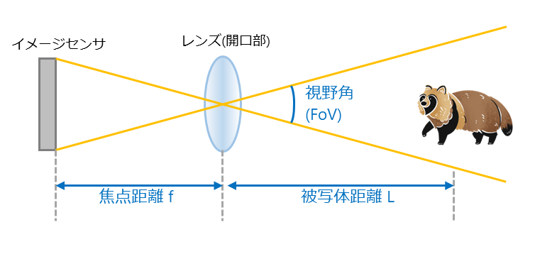 視野角と焦点距離の関係
